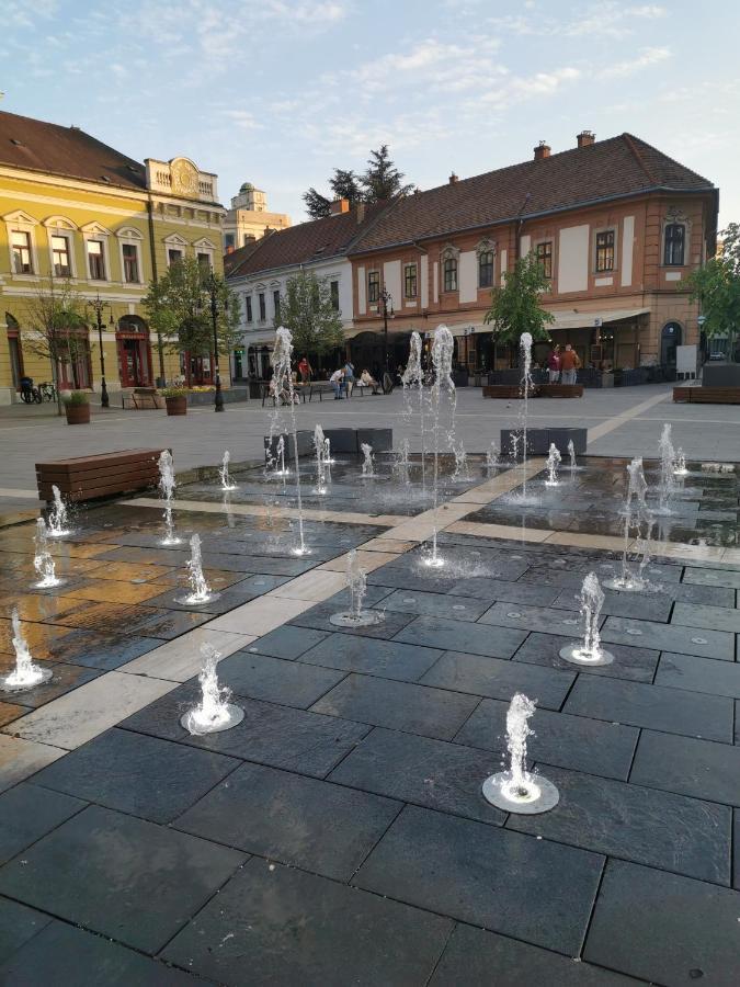 Apartment Oldtown Shelter With Free Private Parking